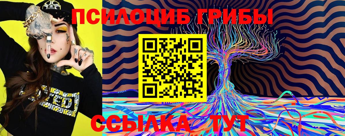 Ханты-Мансийск  Псилоцибиновые грибы прущие грибы  Вход с VPN 