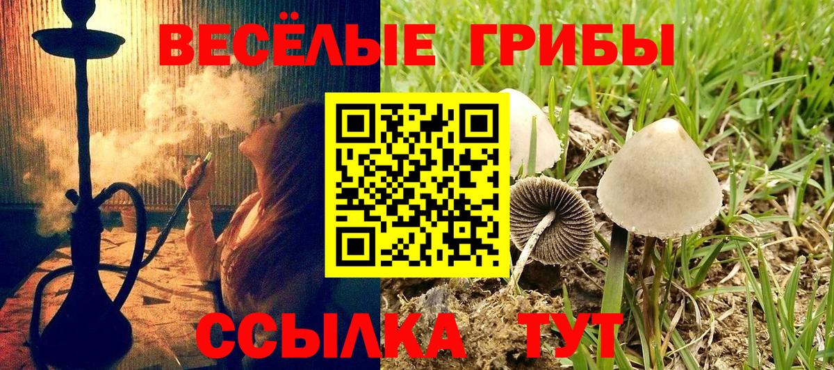 Галлюциногенные грибы Psilocybine cubensis Ханты-Мансийск